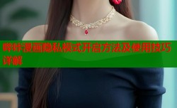 哔咔漫画隐私模式开启方法及使用技巧详解