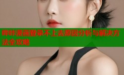 哔咔漫画登录不上去原因分析与解决方法全攻略
