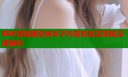 哔咔漫画里没有本子内容的真实原因深度解析