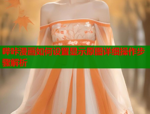 哔咔漫画如何设置显示原图详细操作步骤解析  第1张