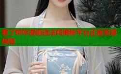 看了哔咔漫画违法吗揭秘平台正版资源保障