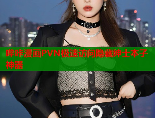 哔咔漫画PVN极速访问隐藏绅士本子神器  第2张